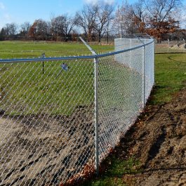 Galvanized Chain Link