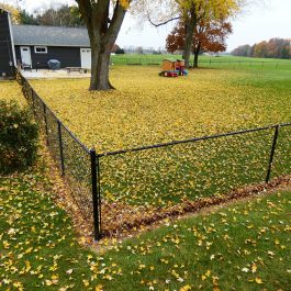 Black Chain Link